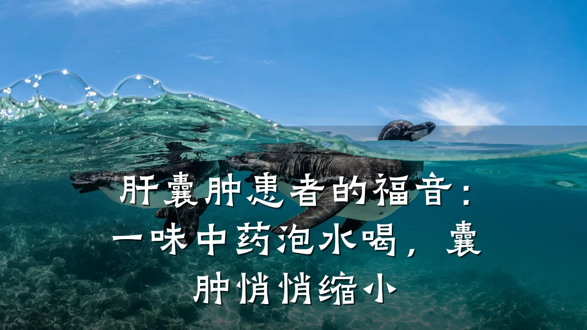 肝囊肿患者的福音：一味中药泡水喝，囊肿悄悄缩小