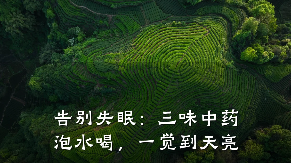 告别失眠：三味中药泡水喝，一觉到天亮