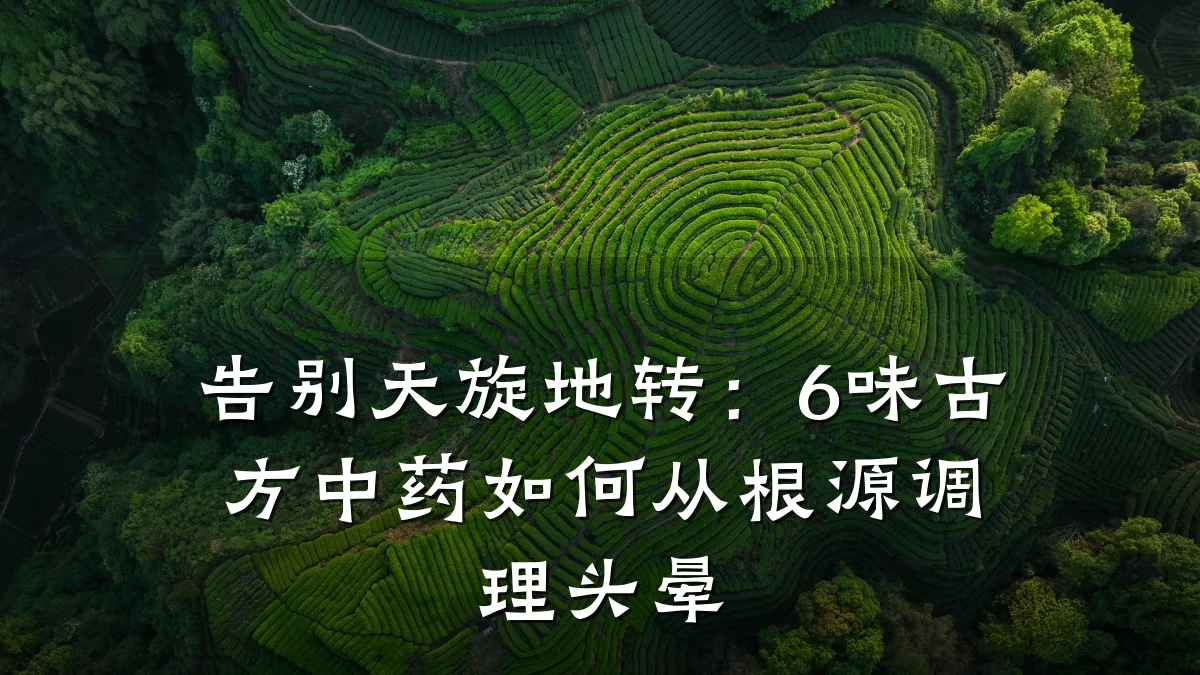 告别天旋地转:6味古方中药如何从根源调理头晕
