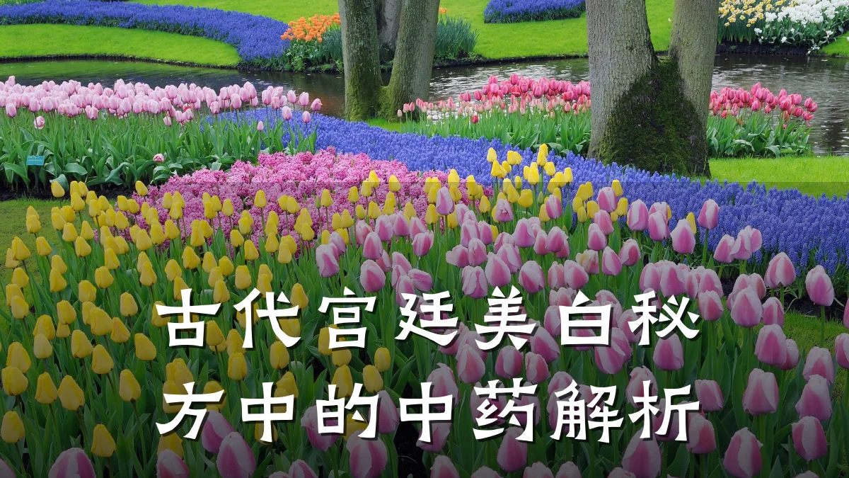 古代宫廷美白秘方中的中药解析