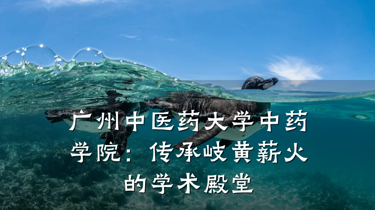 广州中医药大学中药学院:传承岐黄薪火的学术殿堂