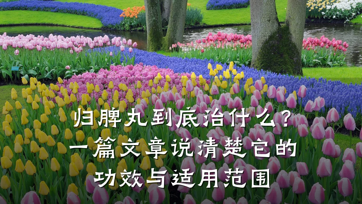 归脾丸到底治什么？一篇文章说清楚它的功效与适用范围