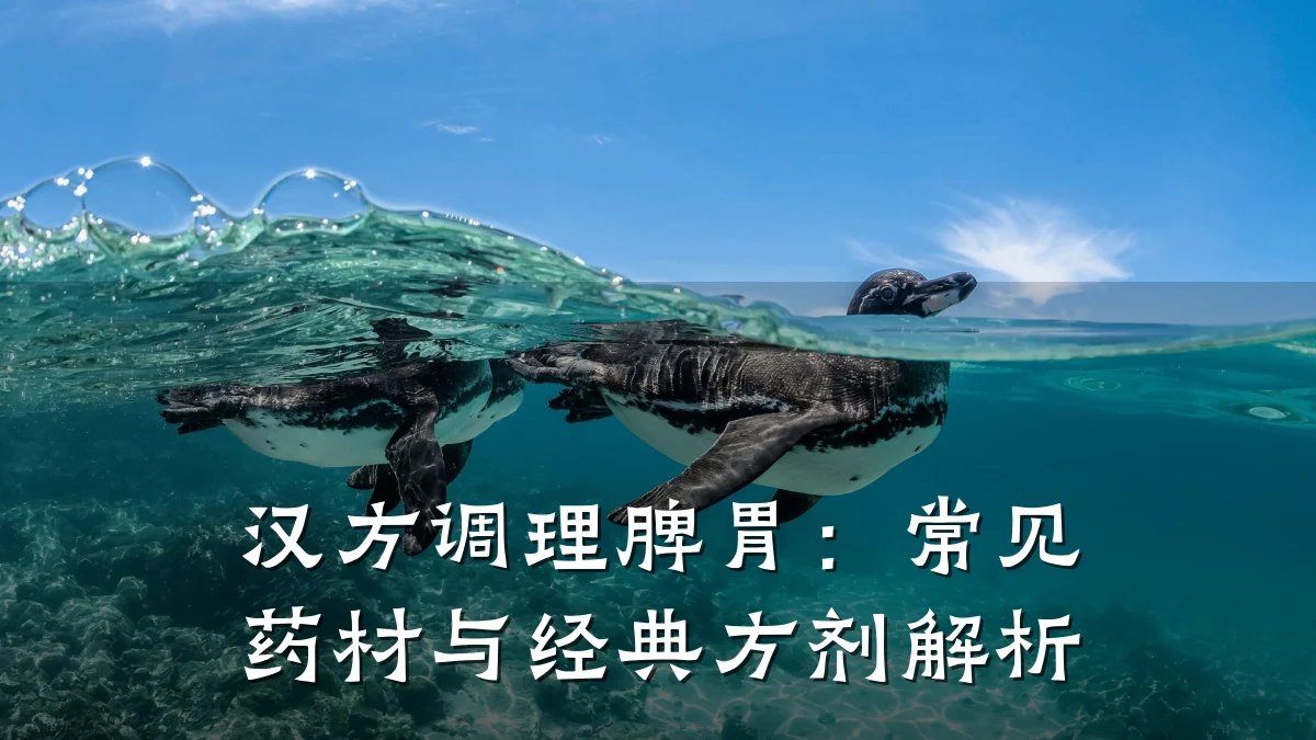 汉方调理脾胃：常见药材与经典方剂解析
