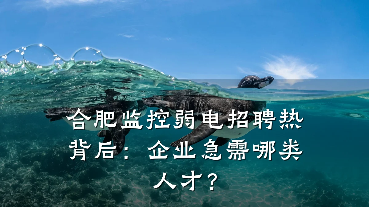合肥监控弱电招聘热背后:企业急需哪类人才?