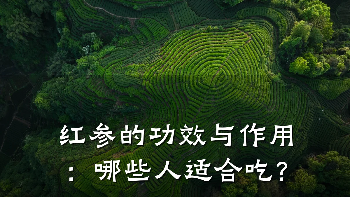 红参的功效与作用：哪些人适合吃？