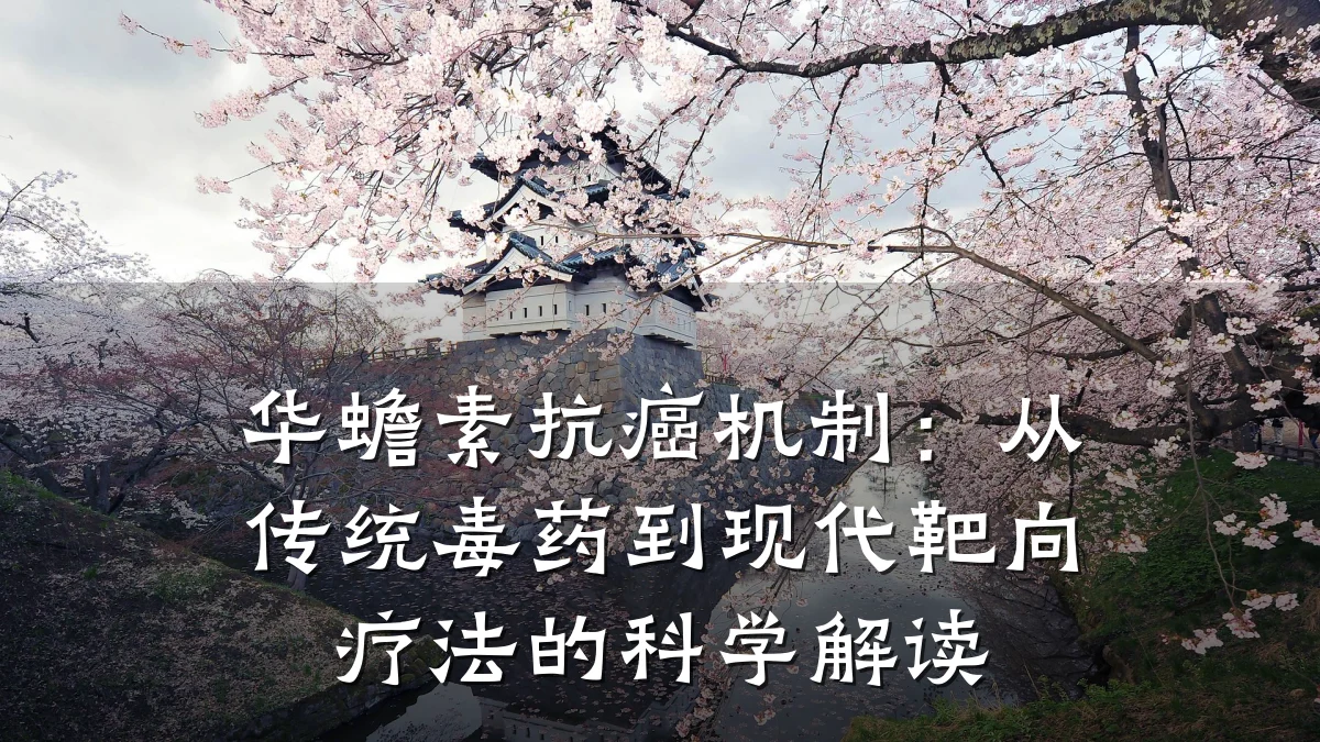 华蟾素抗癌机制：从传统毒药到现代靶向疗法的科学解读
