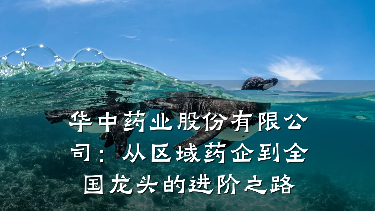 华中药业股份有限公司:从区域药企到全国龙头的进阶之路