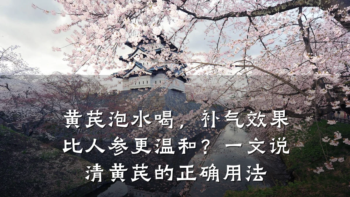 黄芪泡水喝，补气效果比人参更温和？一文说清黄芪的正确用法