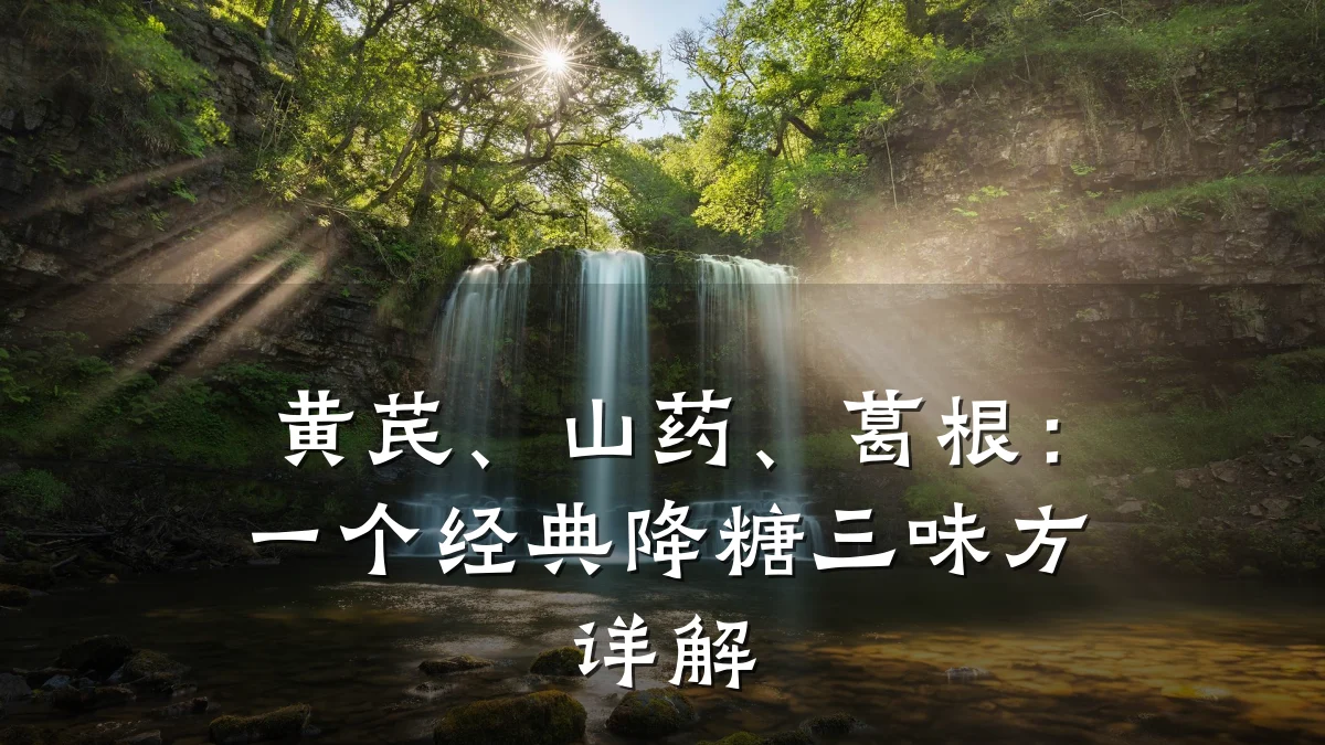 黄芪、山药、葛根：一个经典降糖三味方详解