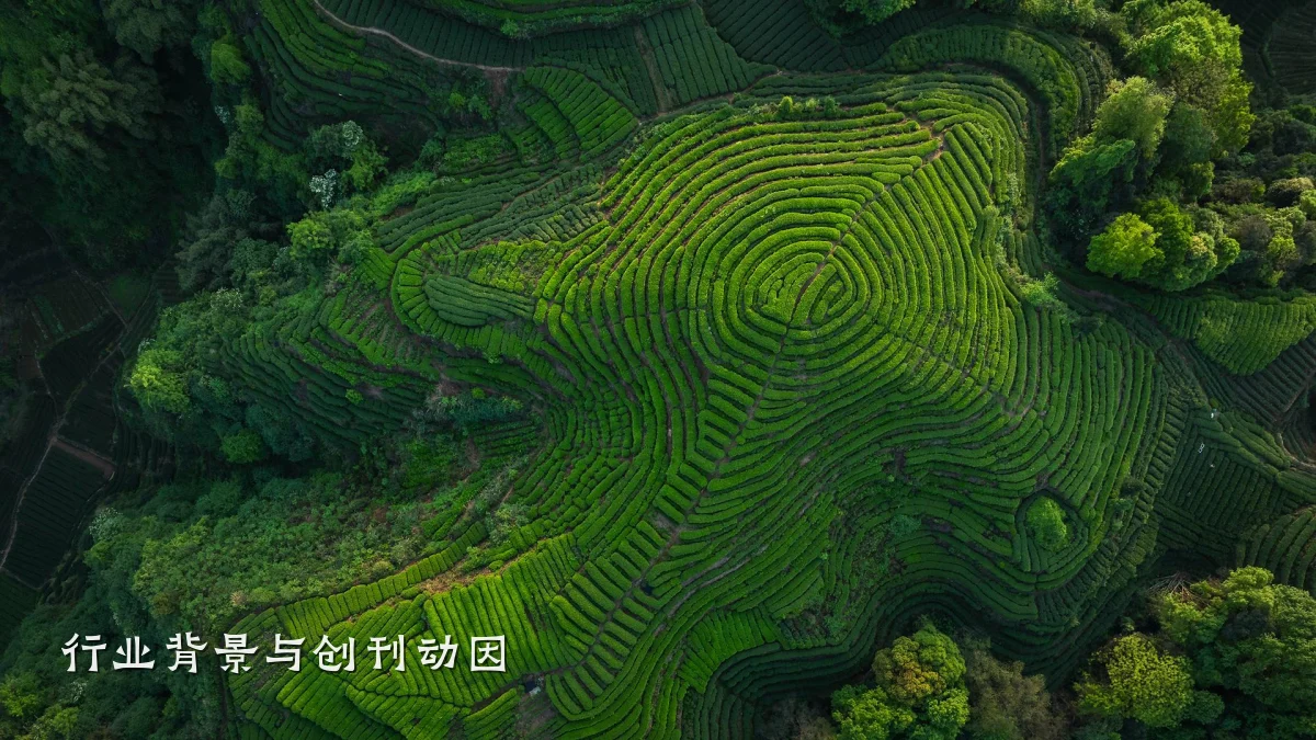 行业背景与创刊动因