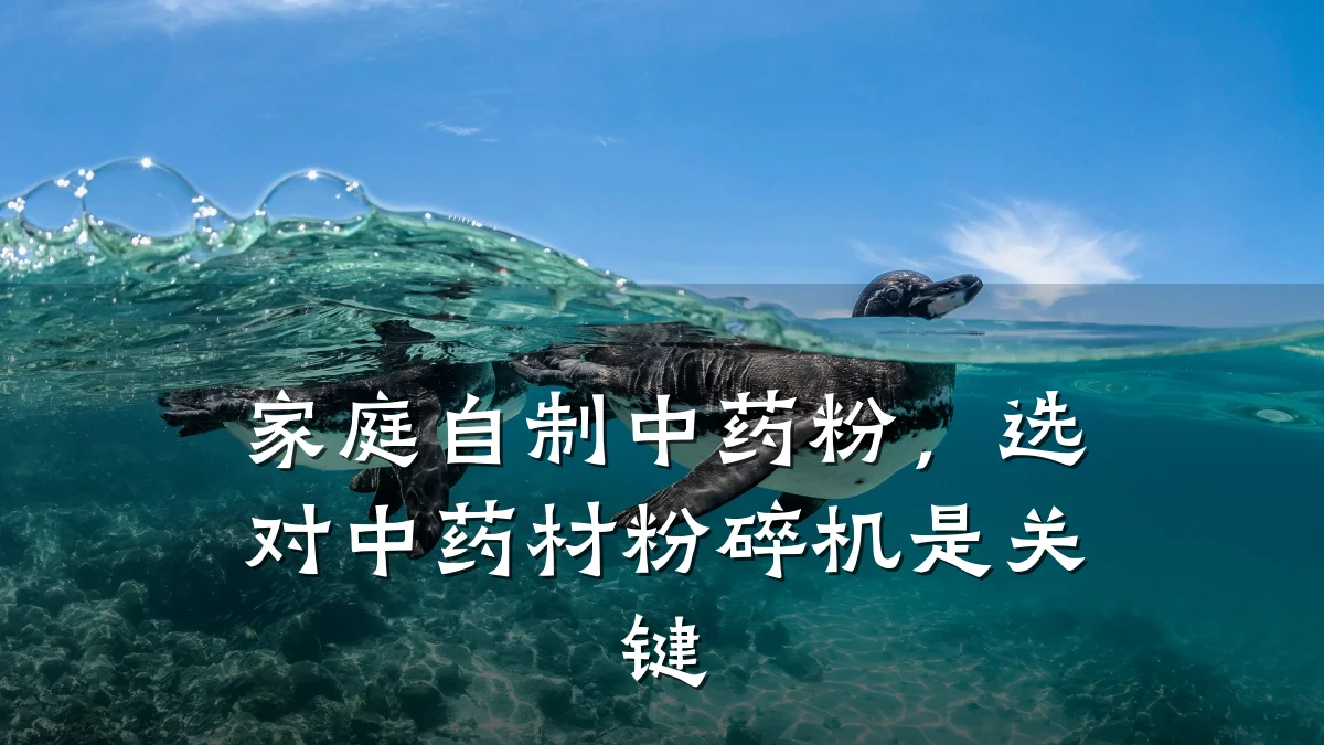 家庭自制中药粉,选对中药材粉碎机是关键