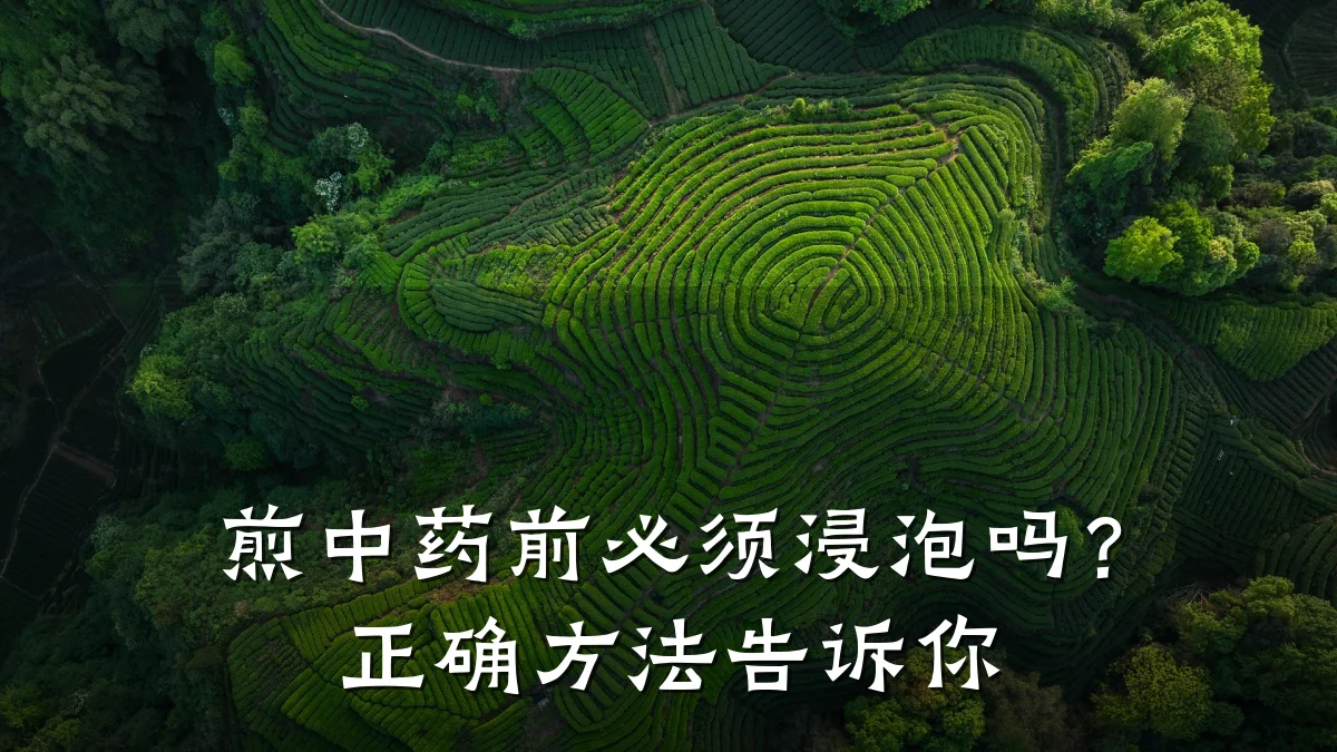 煎中药前必须浸泡吗?正确方法告诉你