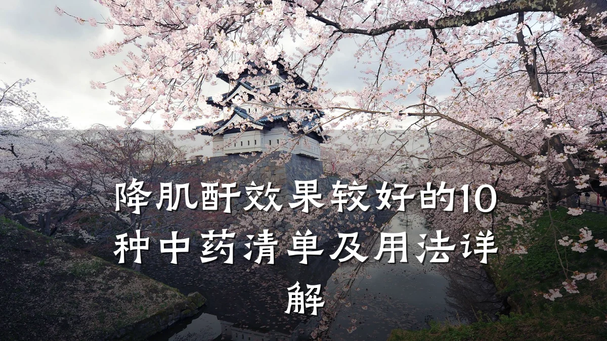 降肌酐效果较好的10种中药清单及用法详解