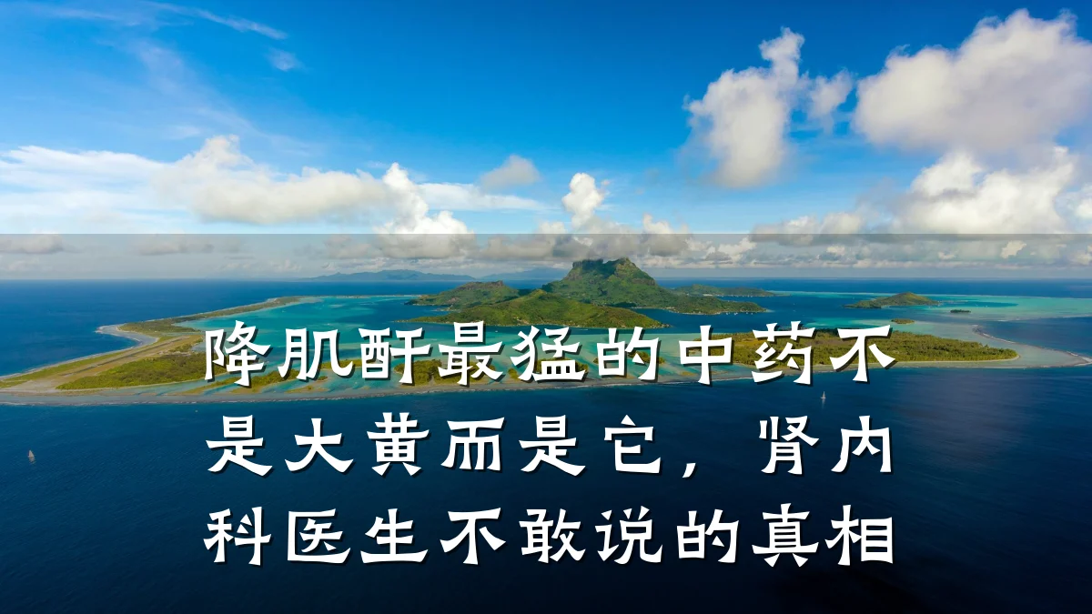 降肌酐最猛的中药不是大黄而是它,肾内科医生不敢说的真相