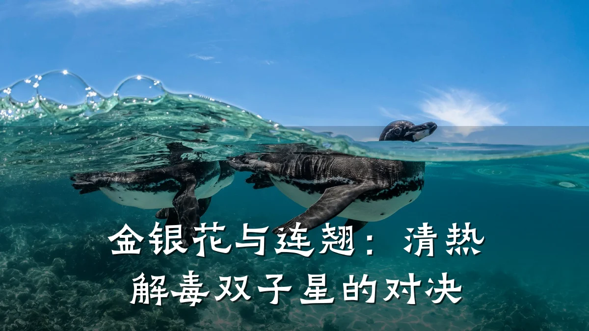 金银花与连翘：清热解毒双子星的对决