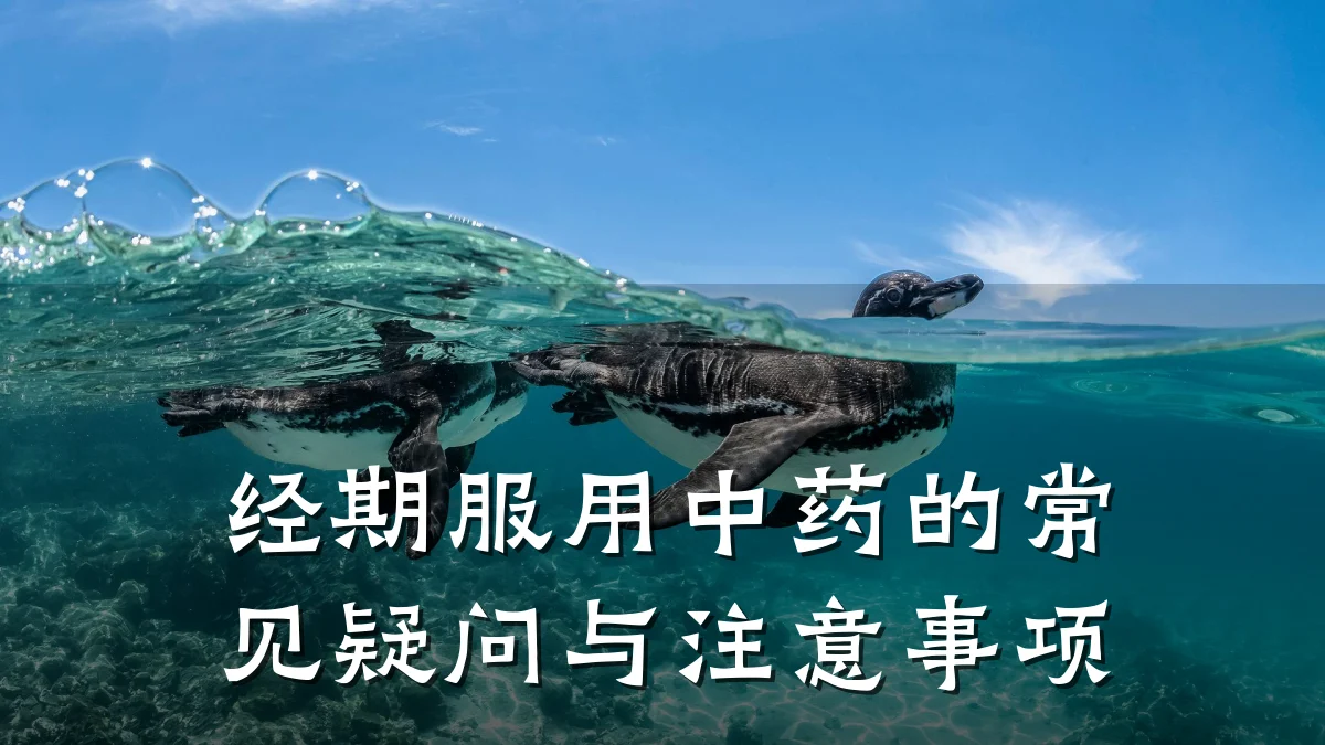 经期服用中药的常见疑问与注意事项