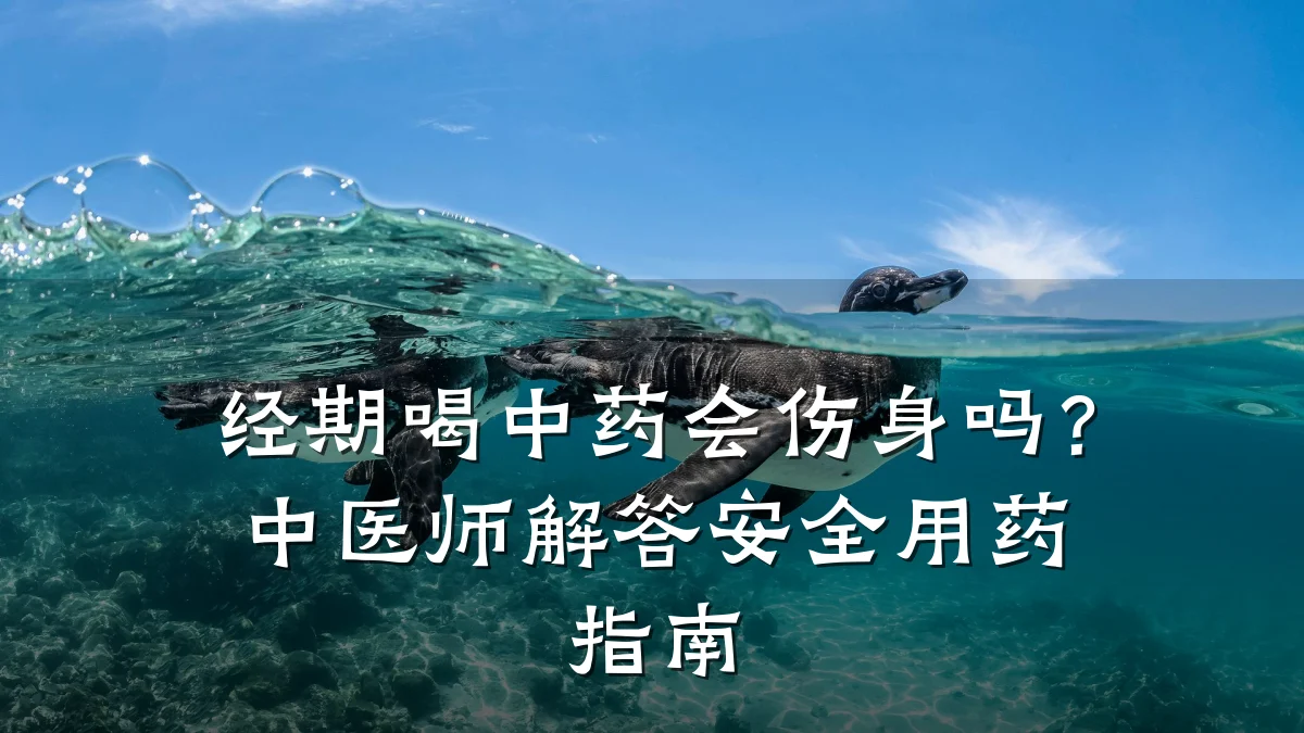 经期喝中药会伤身吗?中医师解答安全用药指南