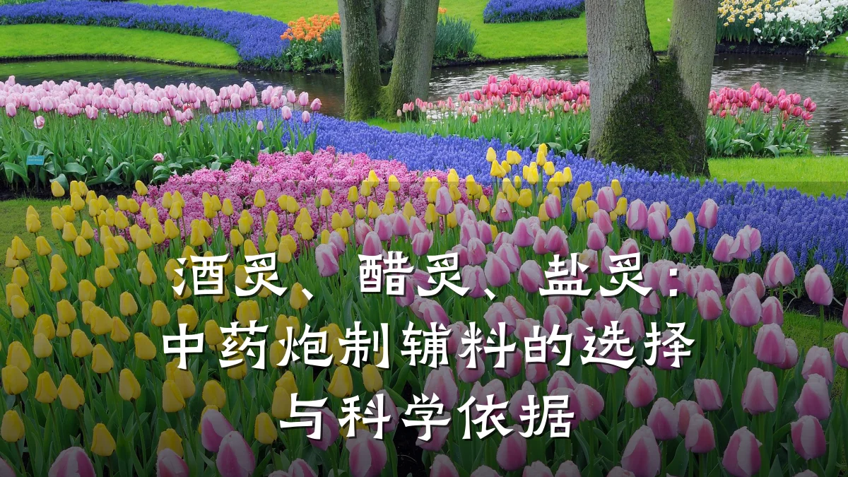 酒炙、醋炙、盐炙：中药炮制辅料的选择与科学依据