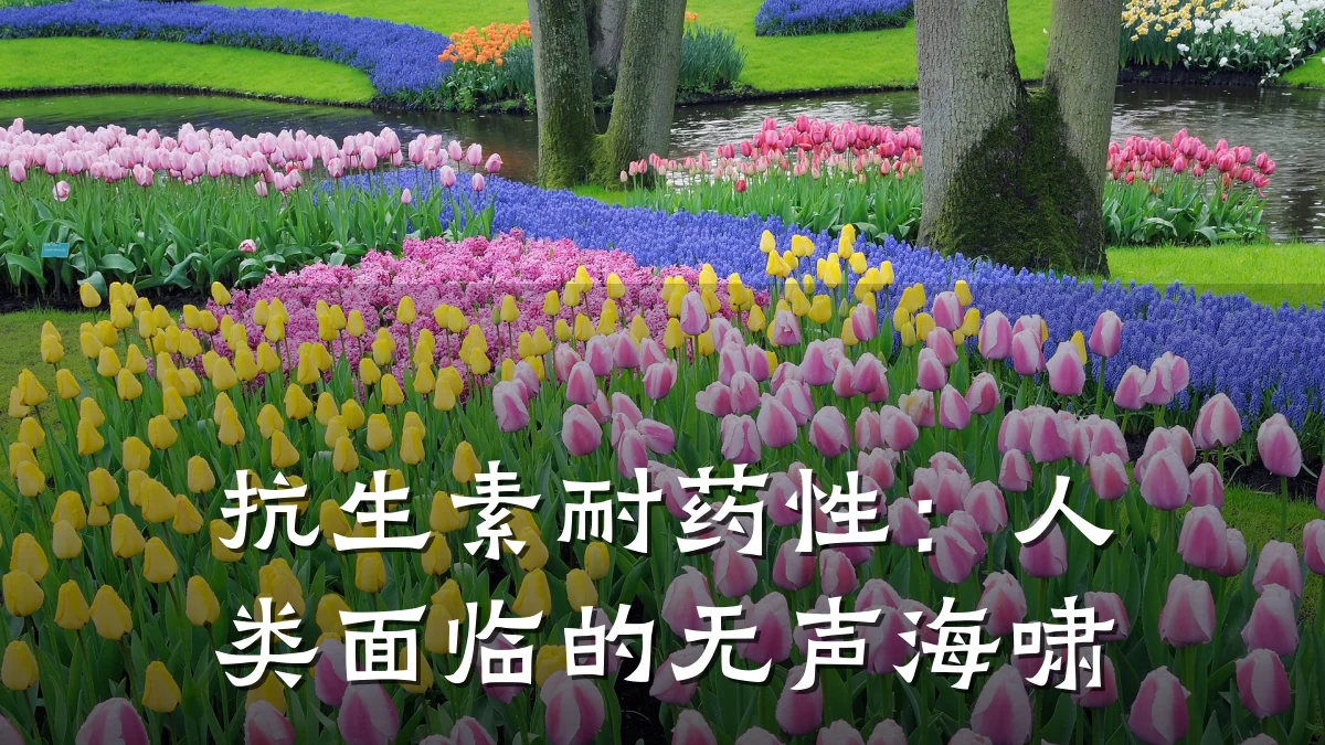 抗生素耐药性:人类面临的无声海啸