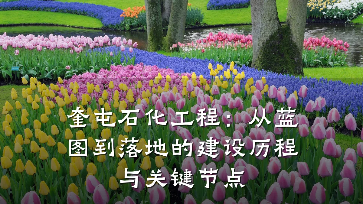奎屯石化工程：从蓝图到落地的建设历程与关键节点