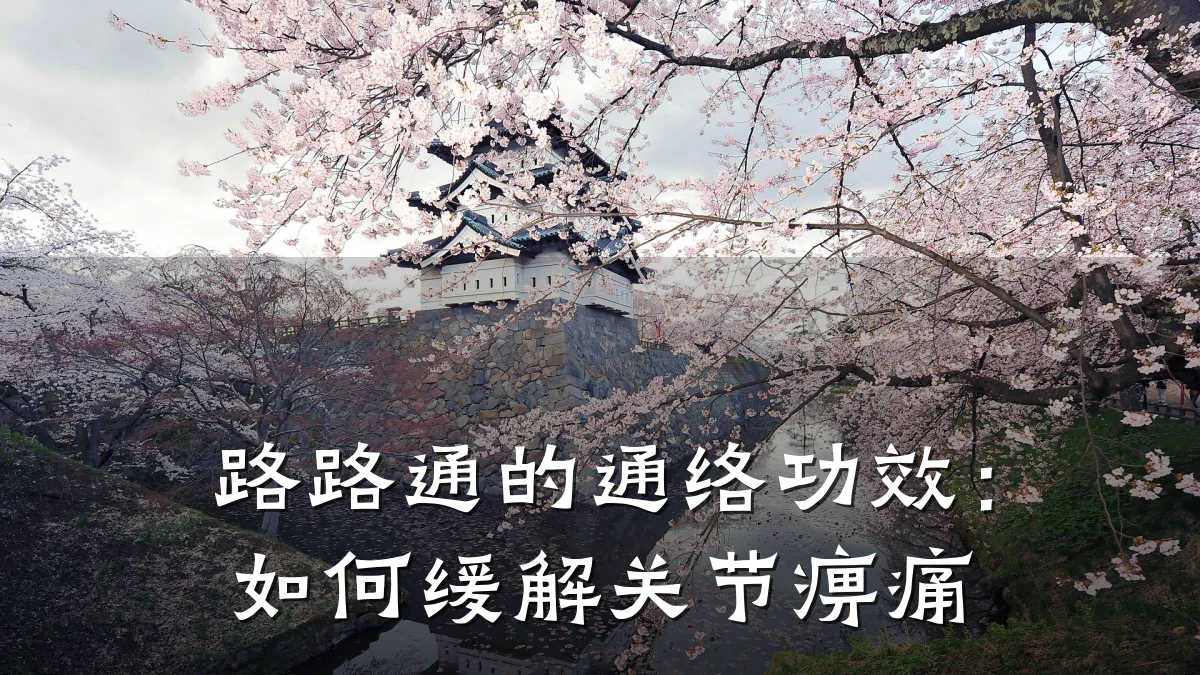 路路通的通络功效：如何缓解关节痹痛