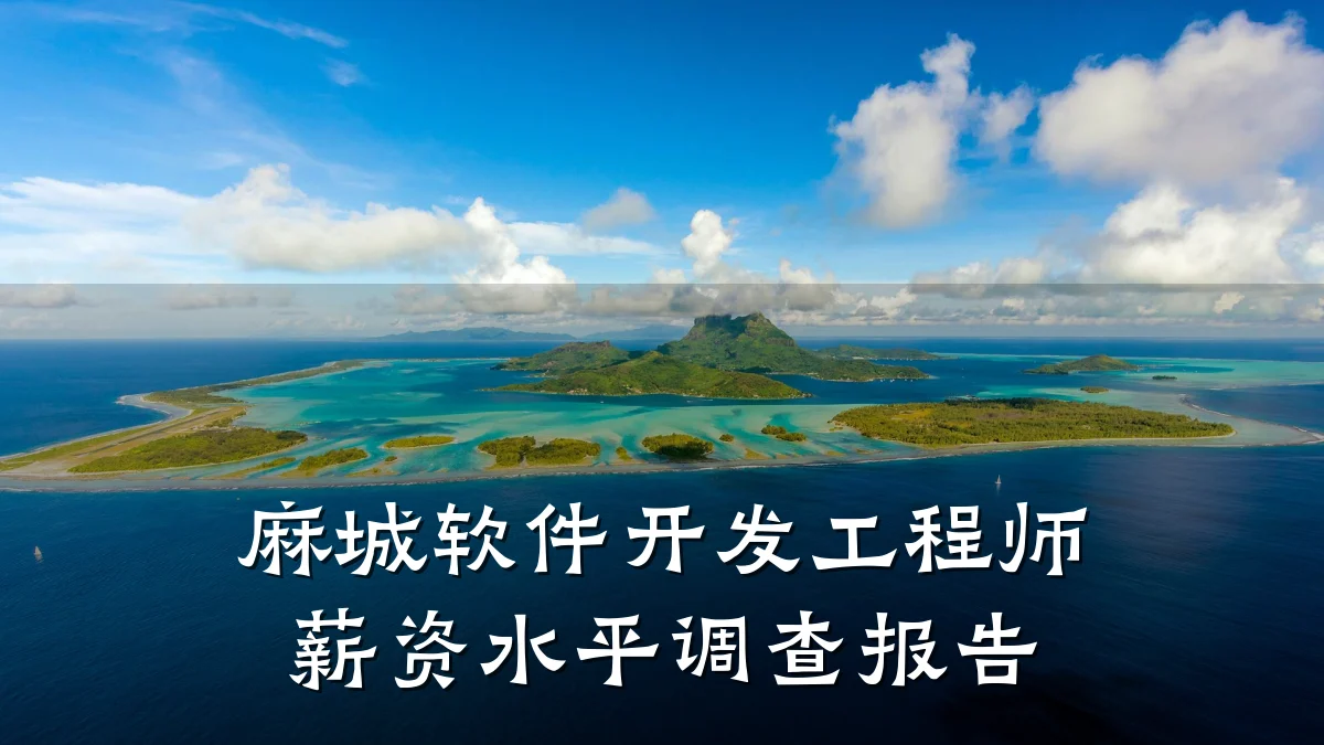 麻城软件开发工程师薪资水平调查报告