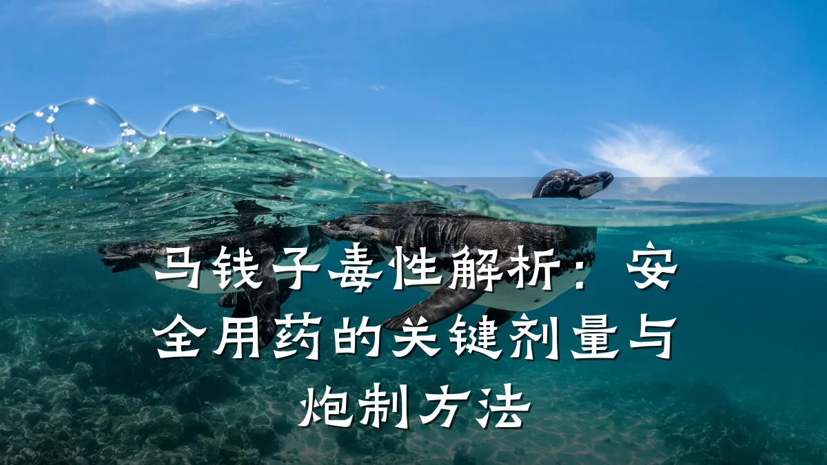 马钱子毒性解析：安全用药的关键剂量与炮制方法