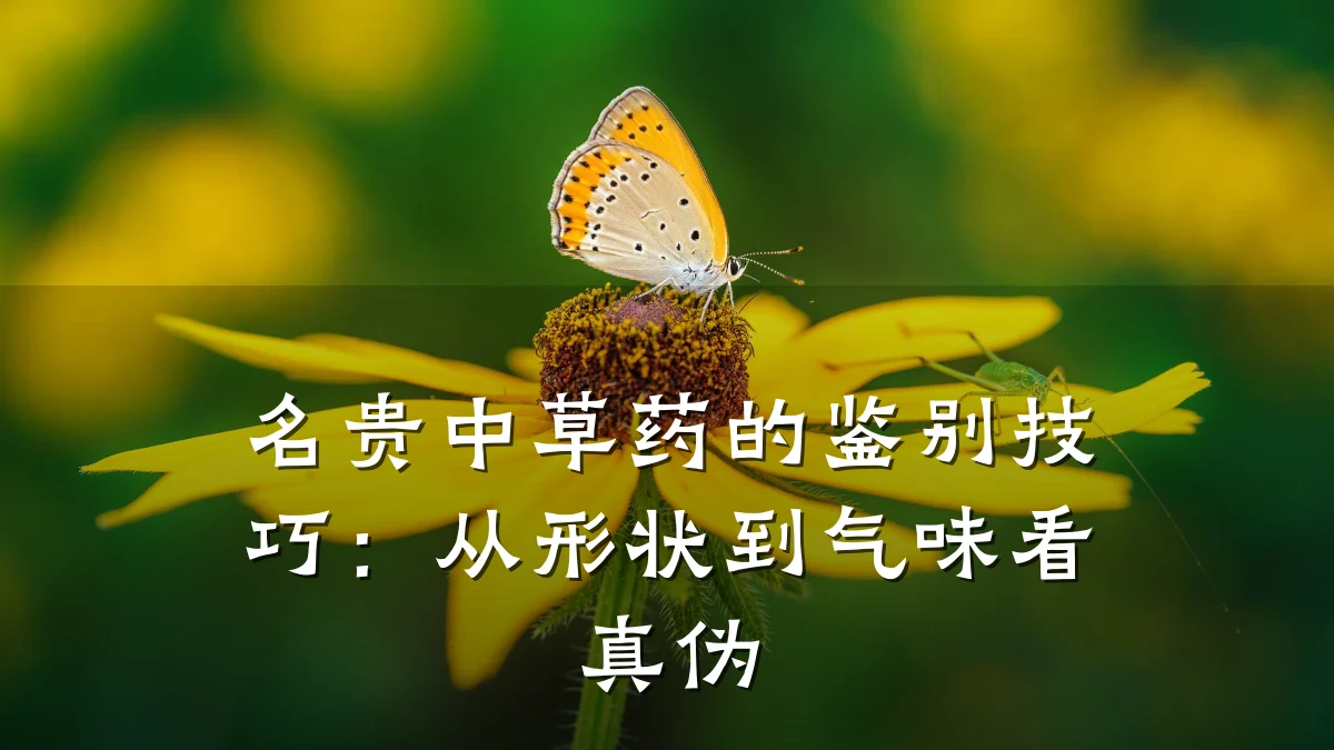 名贵中草药的鉴别技巧：从形状到气味看真伪