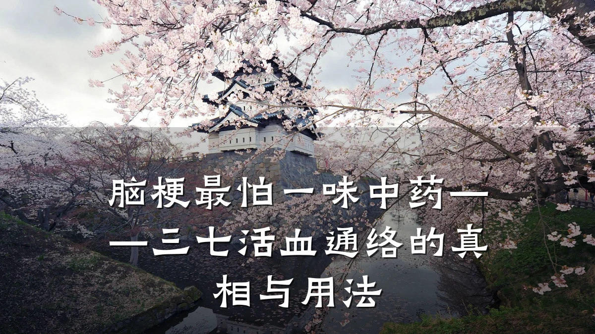 脑梗最怕一味中药——三七活血通络的真相与用法