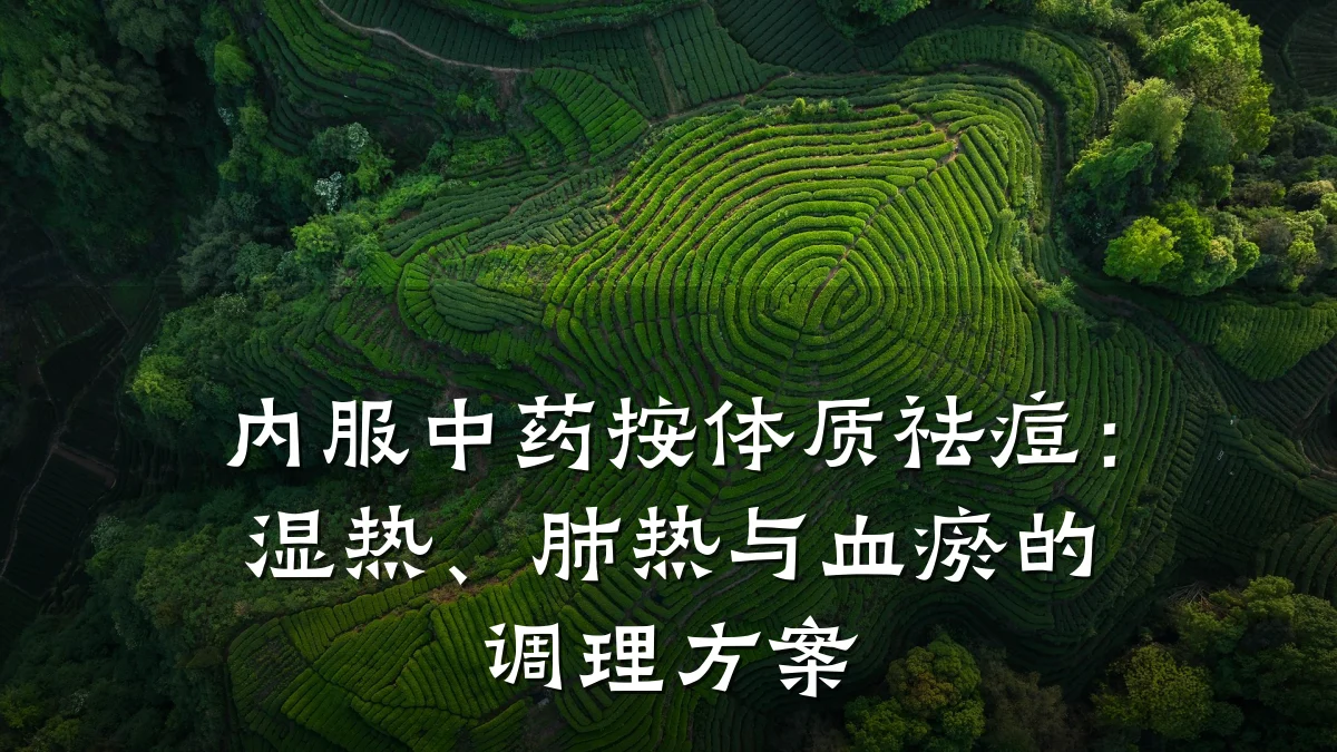 内服中药按体质祛痘:湿热、肺热与血瘀的调理方案