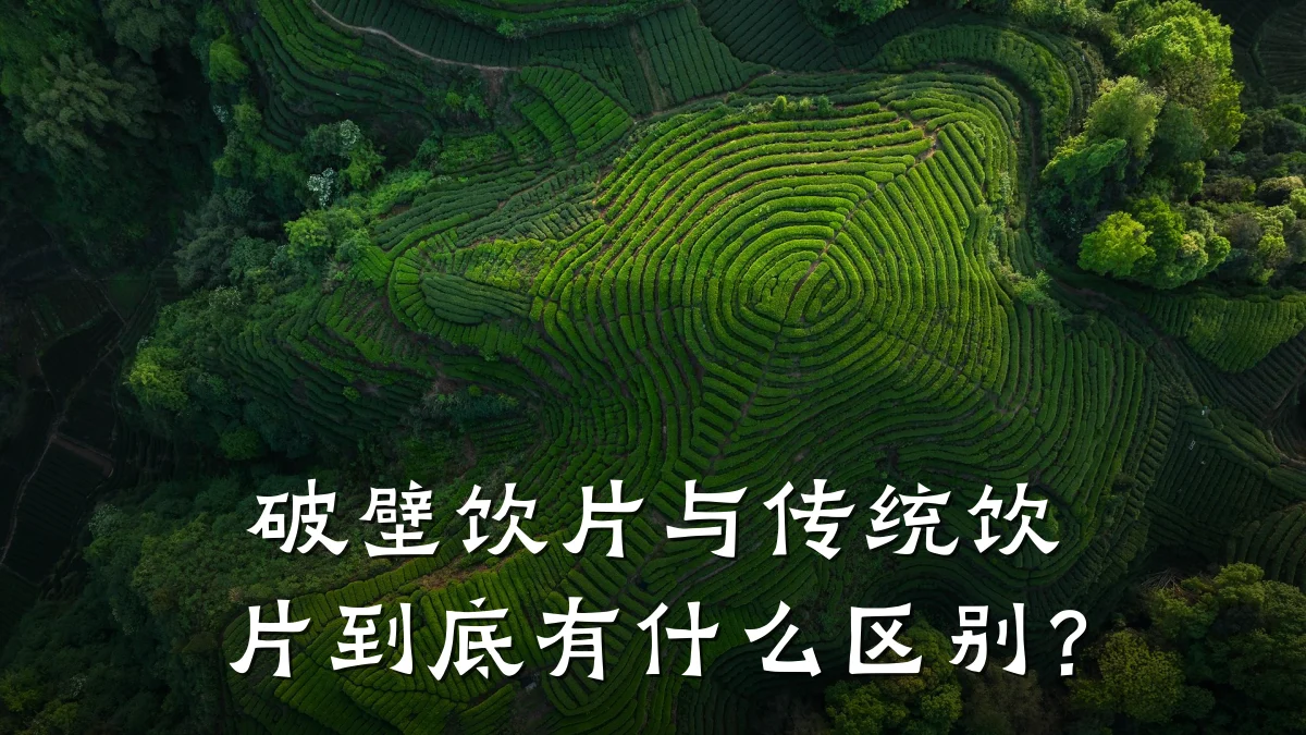 破壁饮片与传统饮片到底有什么区别？