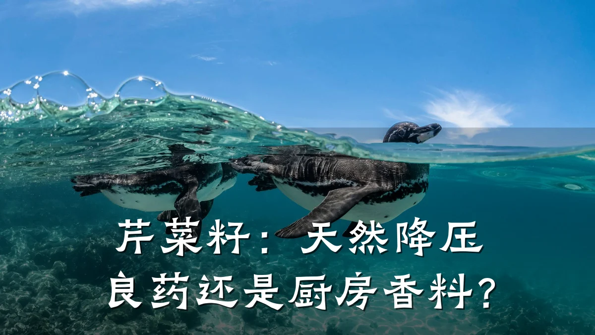 芹菜籽：天然降压良药还是厨房香料？