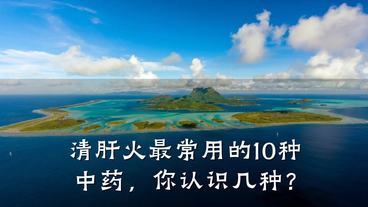 清肝火最常用的10种中药，你认识几种？