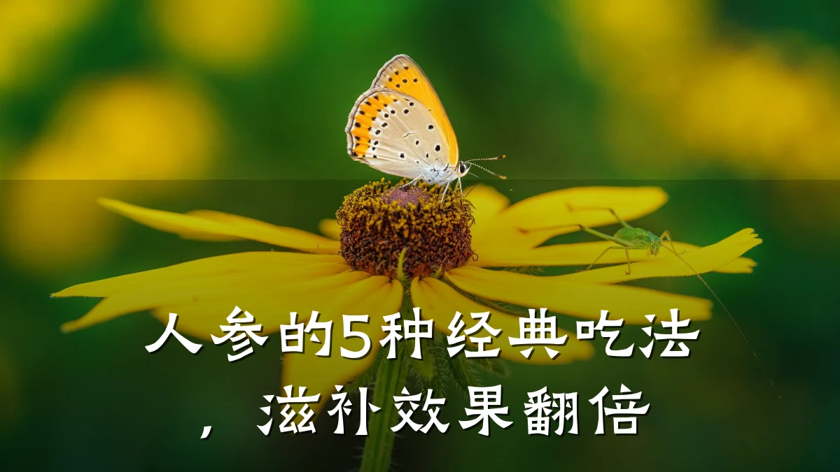 人参的5种经典吃法，滋补效果翻倍