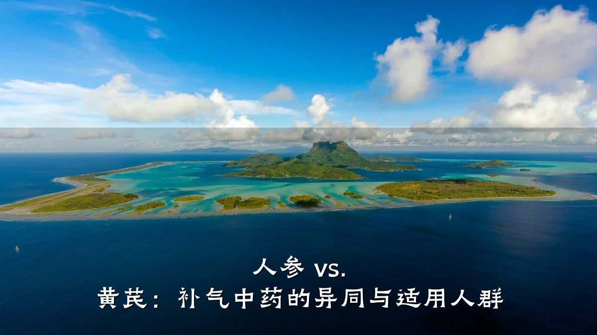 人参 vs. 黄芪：补气中药的异同与适用人群