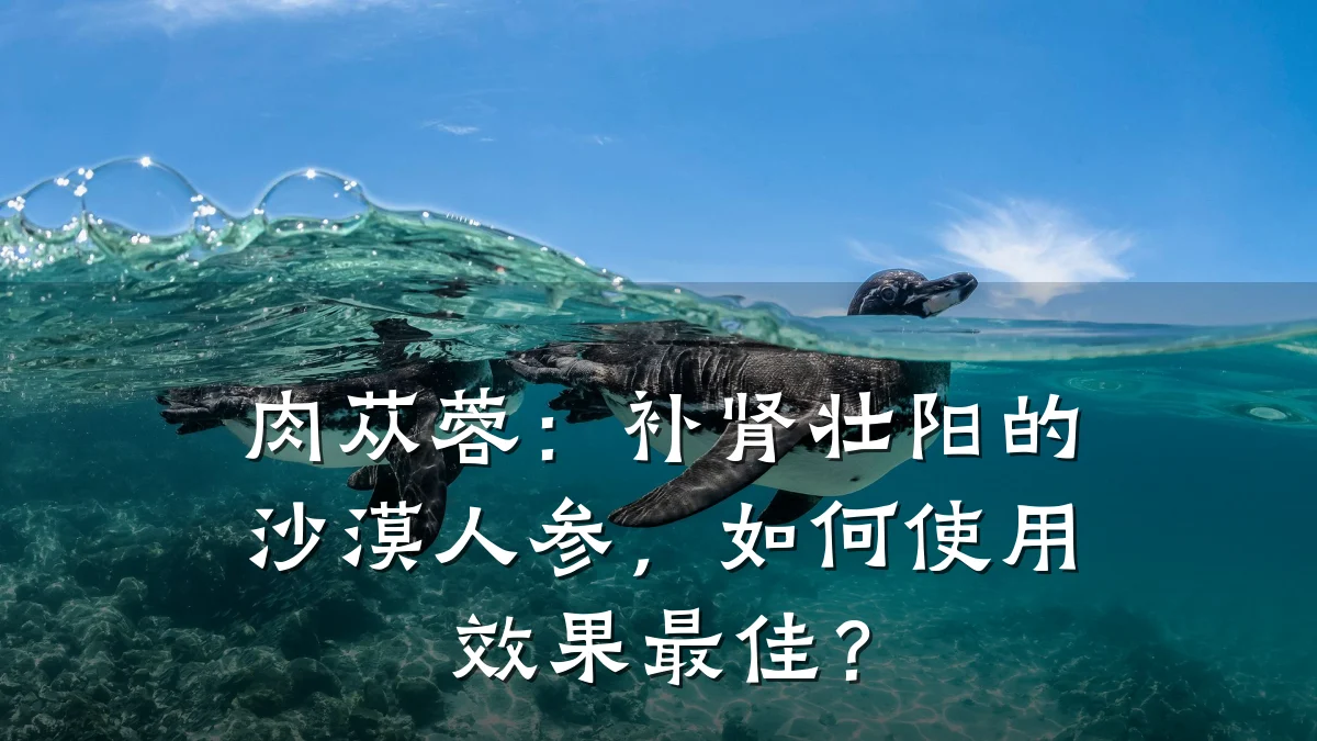 肉苁蓉:补肾壮阳的沙漠人参,如何使用效果最佳?