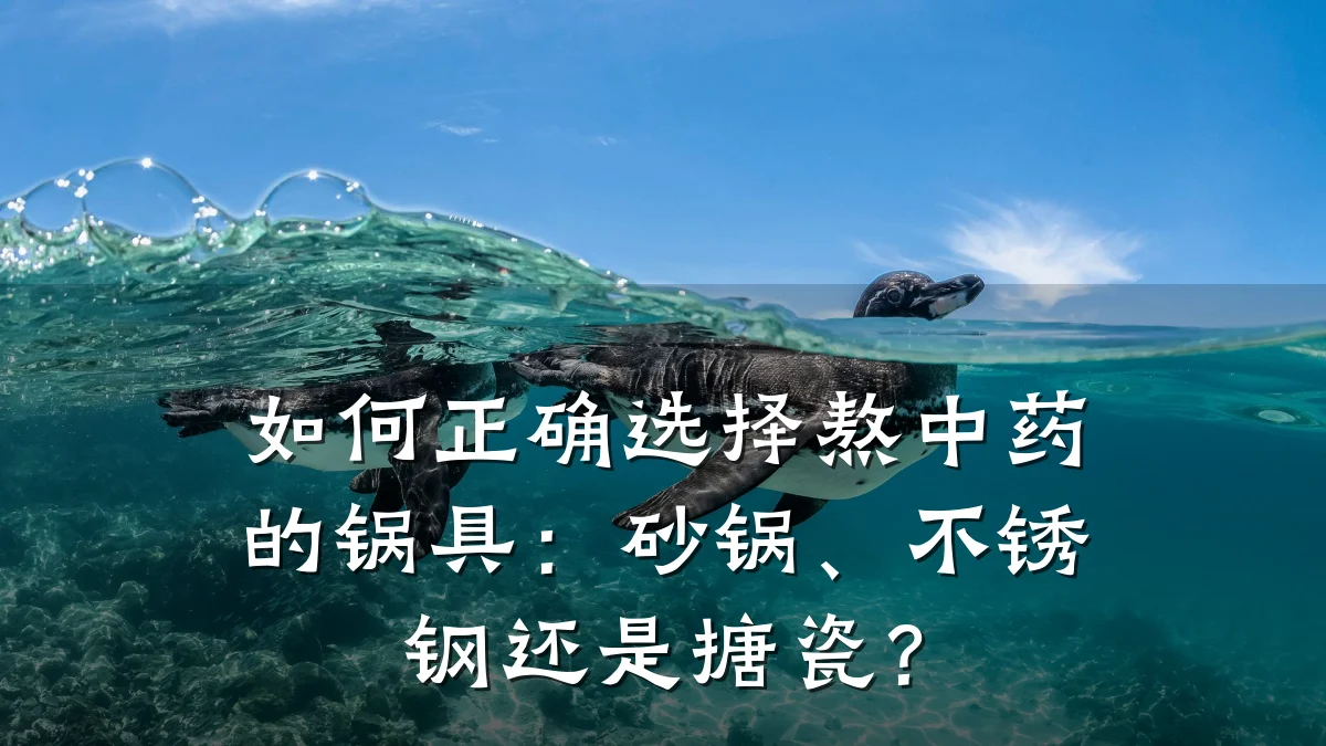 如何正确选择熬中药的锅具:砂锅、不锈钢还是搪瓷?