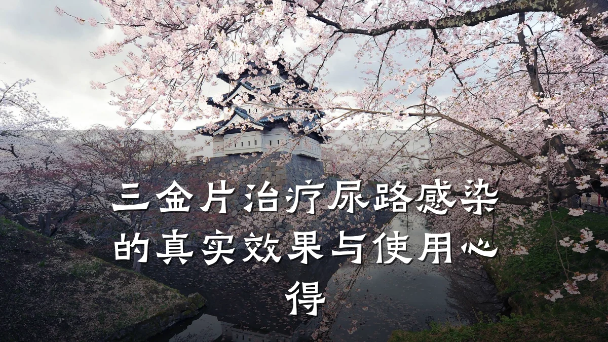 三金片治疗尿路感染的真实效果与使用心得