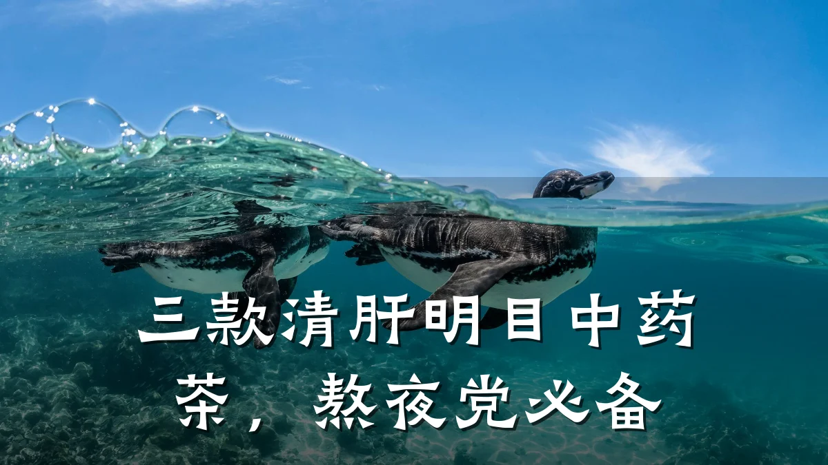 三款清肝明目中药茶，熬夜党必备