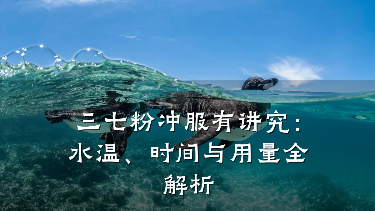 三七粉冲服有讲究:水温、时间与用量全解析