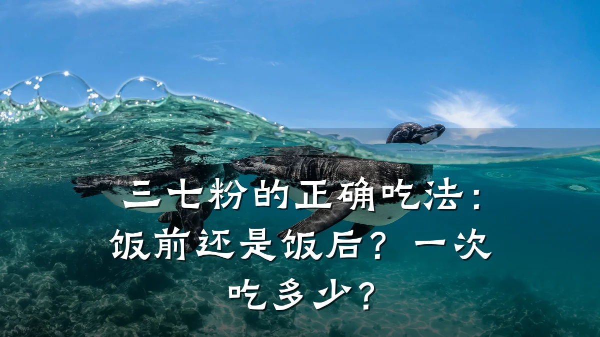 三七粉的正确吃法：饭前还是饭后？一次吃多少？