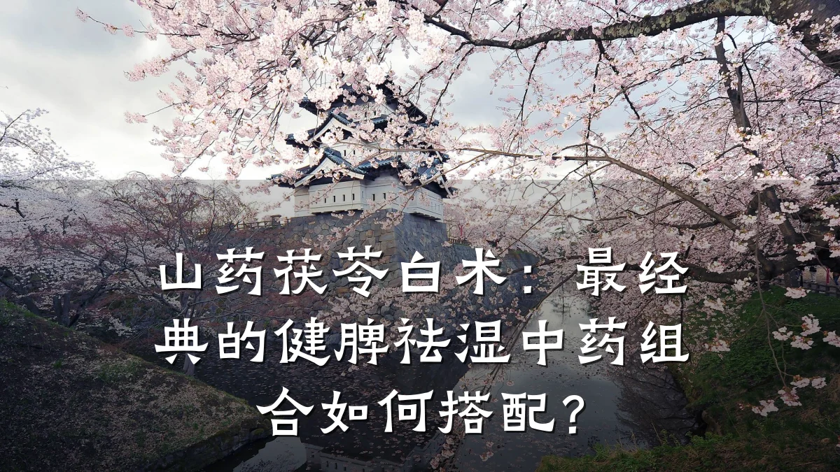 山药茯苓白术:最经典的健脾祛湿中药组合如何搭配?
