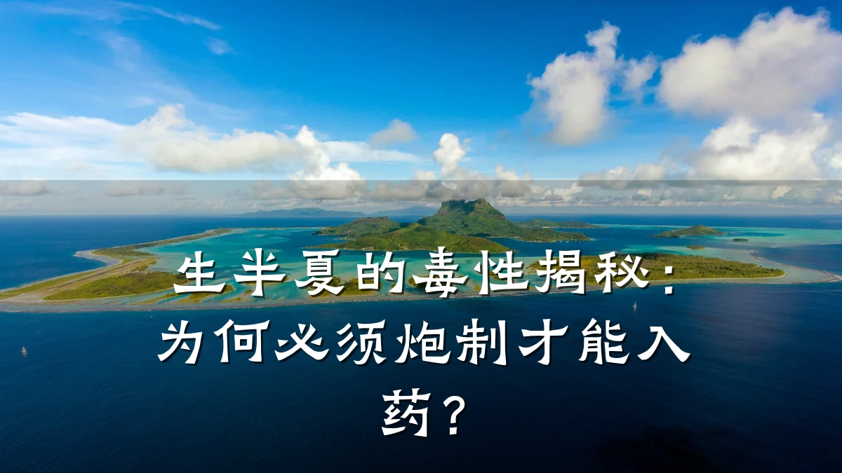 生半夏的毒性揭秘：为何必须炮制才能入药？