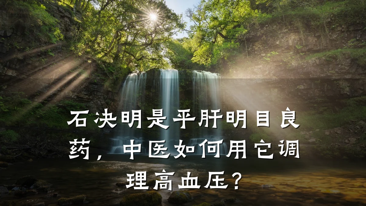 石决明是平肝明目良药，中医如何用它调理高血压？