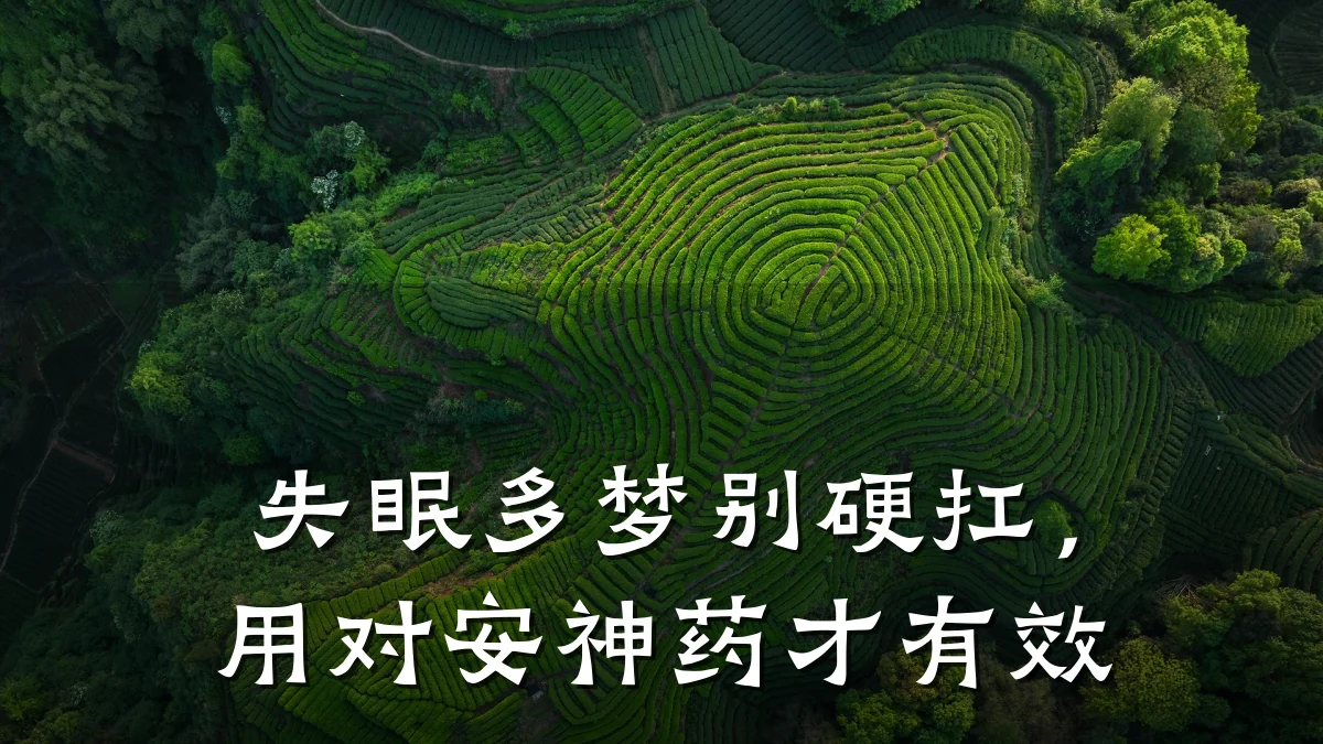 失眠多梦别硬扛，用对安神药才有效