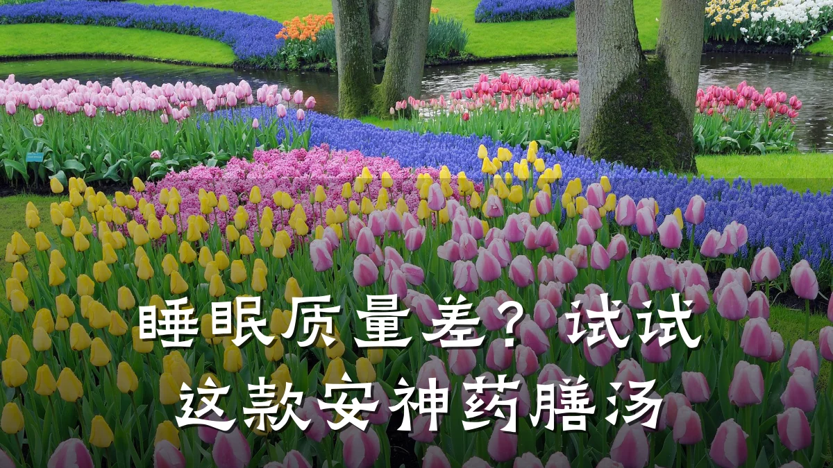 睡眠质量差？试试这款安神药膳汤