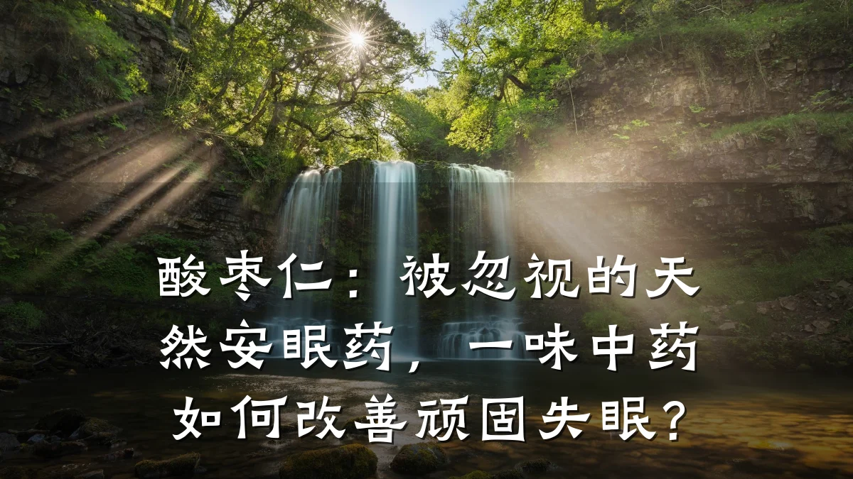 酸枣仁:被忽视的天然安眠药,一味中药如何改善顽固失眠?