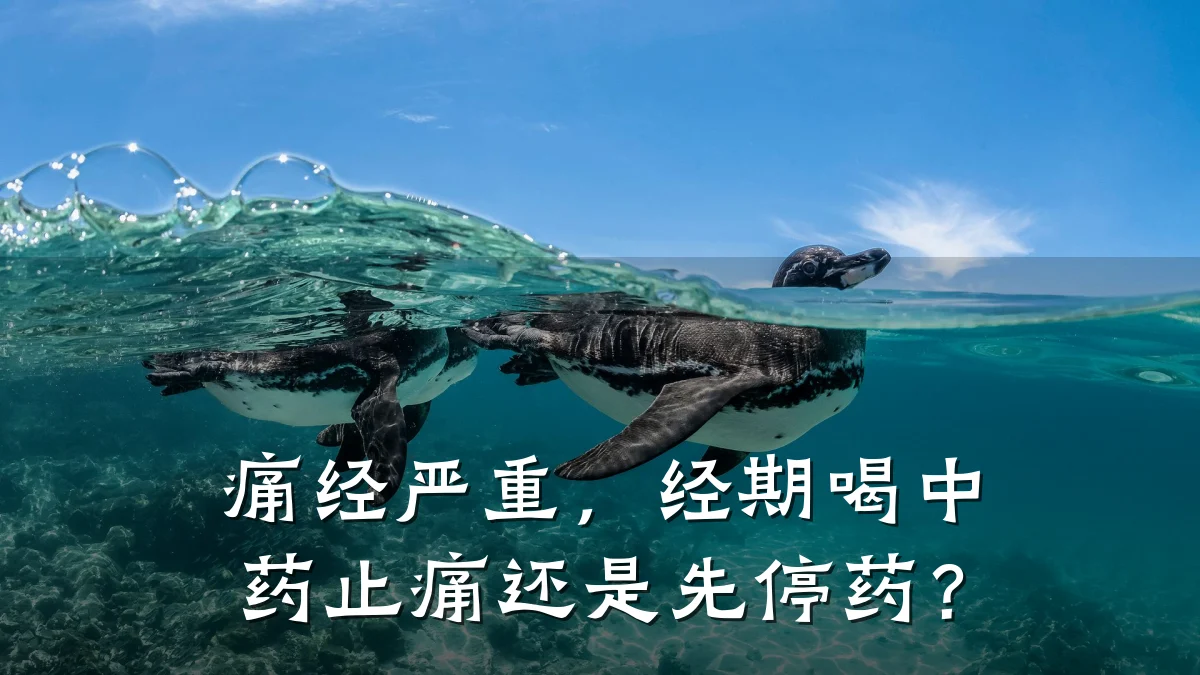 痛经严重,经期喝中药止痛还是先停药?