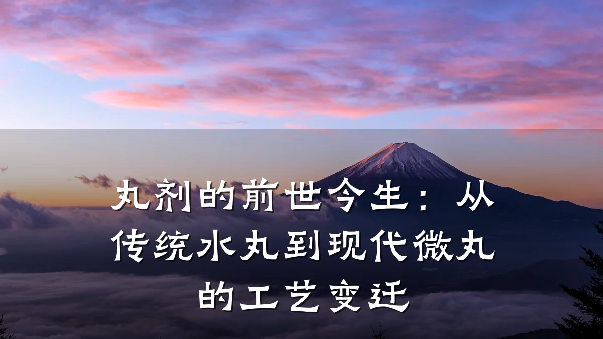 丸剂的前世今生：从传统水丸到现代微丸的工艺变迁