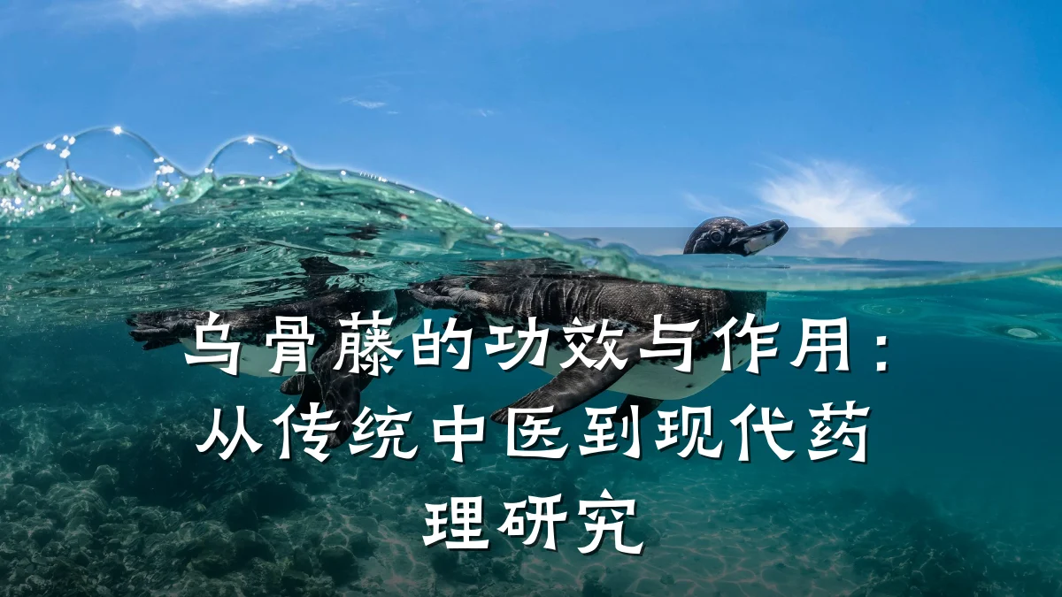 乌骨藤的功效与作用：从传统中医到现代药理研究